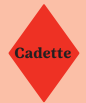 Cadette Badges